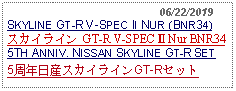 Text Box:                                               06/22/2019SKYLINE GT-R V-SPEC II NUR (BNR34)スカイライン GT-R V-SPEC Ⅱ Nur BNR34 5TH ANNIV. NISSAN SKYLINE GT-R SET5周年日産スカイラインGT-Rセット