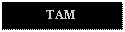 Text Box: TAM