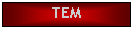 Text Box: TEM