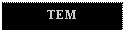 Text Box: TEM