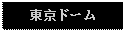 Text Box: 東京ドーム