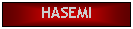 Text Box: HASEMI