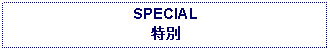 Text Box: SPECIAL特別