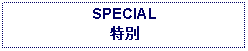 Text Box: SPECIAL特別