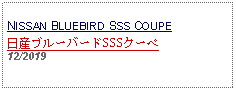 Text Box: NISSAN BLUEBIRD SSS COUPE日産ブルーバードSSSクーペ12/2019