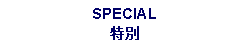 Text Box: SPECIAL特別