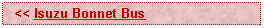 Text Box:   << Isuzu Bonnet Bus