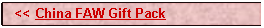 Text Box:   << China FAW Gift Pack