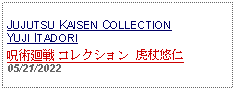 Text Box: JUJUTSU KAISEN COLLECTION YUJI ITADORI呪術廻戦 コレクション 虎杖悠仁 05/21/2022