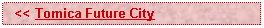 Text Box:   << Tomica Future City