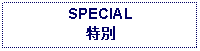 Text Box: SPECIAL特別