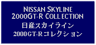 Text Box: NISSAN SKYLINE2000GT-R COLLECTION日産スカイライン2000GT-Rコレクション