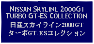 Text Box: NISSAN SKYLINE 2000GTTURBO GT-ES COLLECTION日産スカイライン2000GTターボGT-ESコレクション