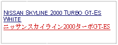 Text Box: NISSAN SKYLINE 2000 TURBO GT-ESWHITEニッサンスカイライン2000ターボGT-ES 