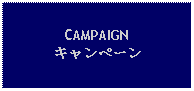 Text Box: CAMPAIGNキャンペーン