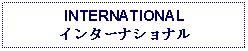 Text Box: INTERNATIONALインターナショナル