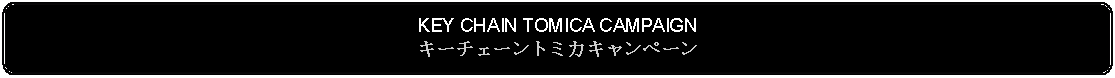 Flowchart: Alternate Process: KEY CHAIN TOMICA CAMPAIGNキーチェーントミカキャンペーン