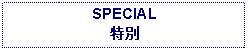 Text Box: SPECIAL特別