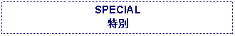 Text Box: SPECIAL特別