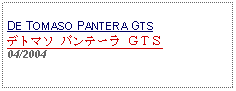 Text Box: DE TOMASO PANTERA GTSデトマソ パンテーラ ＧＴＳ04/2004