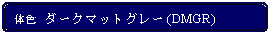 Flowchart: Alternate Process: 体色:  ダークマットグレー (DMGR)
