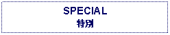 Text Box: SPECIAL特別