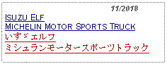 Text Box:                                              11/2018ISUZU ELFMICHELIN MOTOR SPORTS TRUCKいすゞエルフ     ミシュランモータースポーツトラック