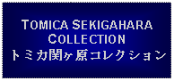 Text Box: TOMICA SEKIGAHARA COLLECTIONトミカ関ヶ原コレクション