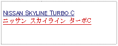 Text Box: NISSAN SKYLINE TURBO Cニッサン スカイライン ターボC