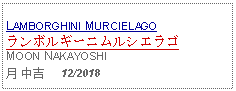 Text Box:                   LAMBORGHINI MURCIELAGOランボルギーニムルシエラゴMOON NAKAYOSHI月 中吉     12/2018