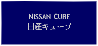 Text Box: NISSAN CUBE日産キューブ