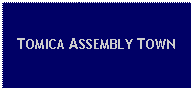 Text Box: TOMICA ASSEMBLY TOWN