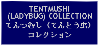 Text Box: TENTMUSHI(LADYBUG) COLLECTIONてんつむし（てんとう虫）コレクション