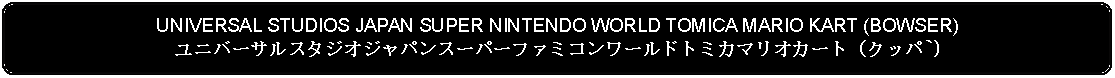 Flowchart: Alternate Process: UNIVERSAL STUDIOS JAPAN SUPER NINTENDO WORLD TOMICA MARIO KART (BOWSER)ユニバーサルスタジオジャパンスーパーファミコンワールドトミカマリオカート（クッパ`)