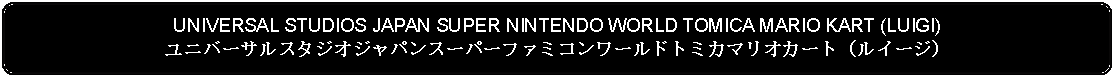 Flowchart: Alternate Process: UNIVERSAL STUDIOS JAPAN SUPER NINTENDO WORLD TOMICA MARIO KART (LUIGI)ユニバーサルスタジオジャパンスーパーファミコンワールドトミカマリオカート（ルイージ）