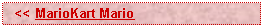 Text Box:   << MarioKart Mario