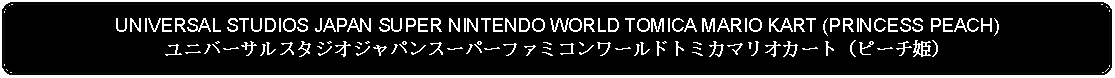 Flowchart: Alternate Process: UNIVERSAL STUDIOS JAPAN SUPER NINTENDO WORLD TOMICA MARIO KART (PRINCESS PEACH)ユニバーサルスタジオジャパンスーパーファミコンワールドトミカマリオカート（ピーチ姫）