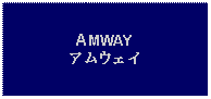 Text Box: AMWAYアムウェイ