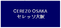 Text Box: CEREZO OSAKAセレッソ大阪