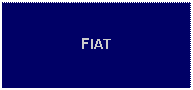 Text Box: FIAT