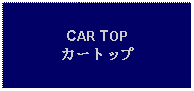 Text Box: CAR TOPカートップ