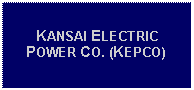 Text Box: KANSAI ELECTRIC POWER CO. (KEPCO)