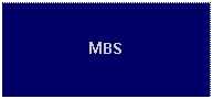 Text Box: MBS