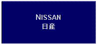 Text Box: NISSAN日産