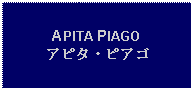 Text Box: APITA PIAGOアピタ・ピアゴ