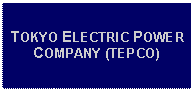 Text Box: TOKYO ELECTRIC POWER COMPANY (TEPCO)