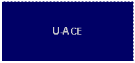 Text Box: U-ACE