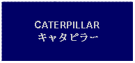 Text Box: CATERPILLARキャタピラー