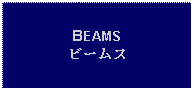 Text Box: BEAMSビームス