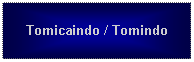 Text Box: Tomicaindo / Tomindo